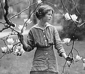 Image Courtesy: http://upload.wikimedia.org